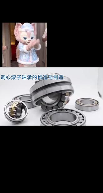 调心滚子轴承构造#每天分享科普知识 #我要上热门