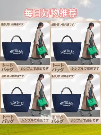 购物手提包2025年日常逛街通勤简约尼龙防水便当包俩面可用饭盒包