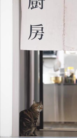 解锁蛋包饭的高颜值吃法!这个旋风造型你知道我试了几次#美食分享 #创意美食#米饭说#美食日常#家常菜分享