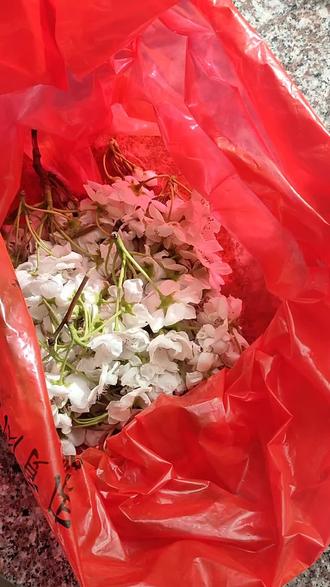 清明前后吃7颗梨花蒸鹅蛋,听说特别好!赶快做起来!#梨花蒸鹅蛋 #养生