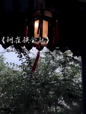 你我为何沦落为这步田地 #铜雀锁金钗
