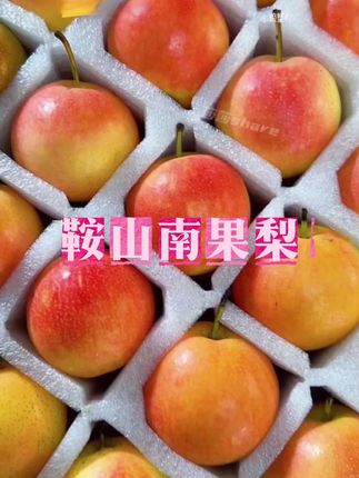 鞍山南果梨5斤正宗东北特产新鲜水果包邮酸甜多汁酒香海城南国梨#谁懂这一口的好吃程度 #口感特别好 #超好吃 #好吃到停不下来