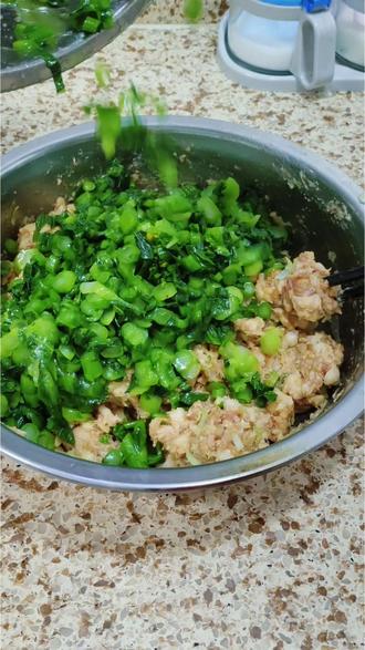 没有荠菜,青菜苔猪肉饺子一样鲜美,吃到了春天的味道!#晒美食,是对平凡生活的热爱 #日常分享 #健康美食自己做 #饺子