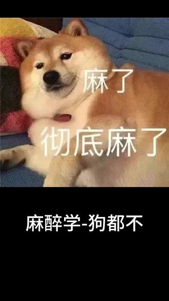 麻醉学,干! #志愿填报