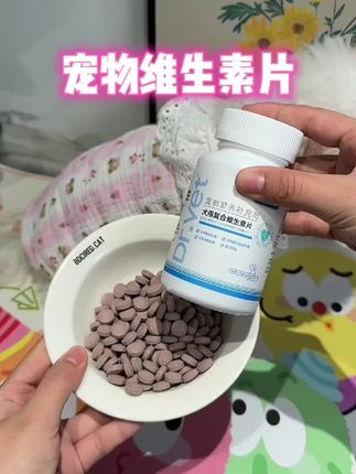 狗狗养的好,维生素不能少#萌宠好物 #科学养宠攻略 #宠物维生素 #狗狗护理