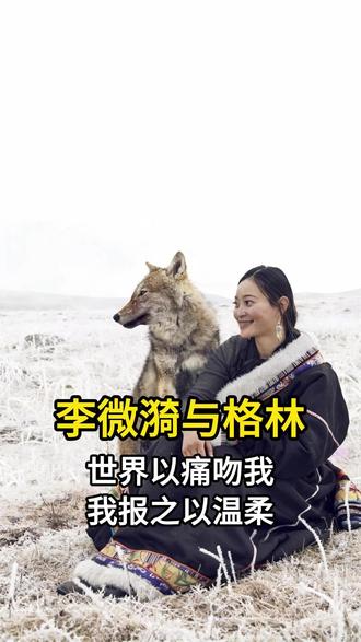 当人类的女儿,成为狼群的“母亲” 她不是驯兽师,只是一位画家。却完成了一项几乎不可能的任务:将一只在都市长大的狼,成功野化并送回狼群,成为领袖。李微漪与格林的故事,是关于“母爱”形式最极致的扩展——爱它,就还它自由,哪怕相隔天涯。#自然生灵 #格林 #若尔盖大草原 #重返狼群背后的故事