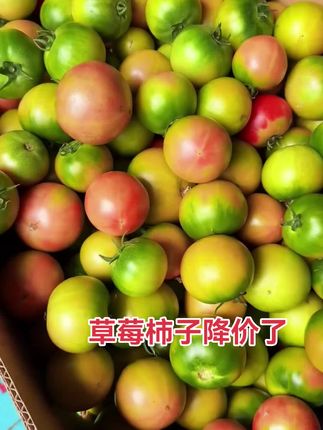 #草莓柿子