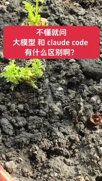 不懂就问:claude code和大模型有什么区别啊? #AI #claudecode #claude #大模型
