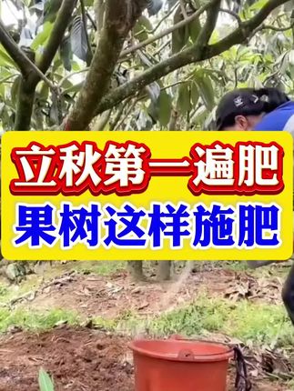 #果树施肥 #果树种植 #农业种植#三农