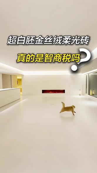 看完视频,闭眼也能分辨金丝绒柔光砖。#金丝绒柔光砖 #柔光砖怎么选 #柔光砖避坑 #柔光砖好打理吗 #柔光砖效果