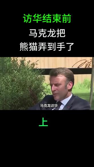 访华结束前,马克龙把熊猫弄到手了