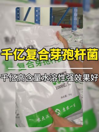 千亿复合芽孢杆菌 千亿高含量水溶性强效果好#水产养殖 #水产人 #水产养殖技术