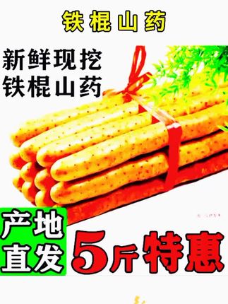 新鲜铁棍山药#现挖现卖#价格实惠 #食材新鲜看得见 #好物推荐🔥 #营养丰富