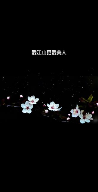 五分钟打卡音乐视频 跟我一起来打卡吧!#真实生活分享计划 #原创视频 #抖音打卡 #爱江山更爱美人 #音乐