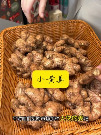 云南小黄姜 现挖现发的云南小黄姜,炒菜炖菜放一点姜味跟香浓#小黄姜 #农产品