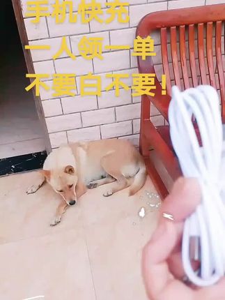 #快充 #华为快充 #数据线 #充电线 #好物推荐🔥