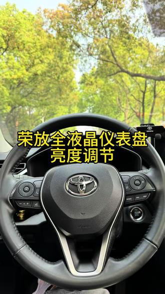 荣放全液晶仪表盘怎么调节?亮度?分分钟教会你。#用车知识分享 #丰田荣放rav4 #仪表盘亮度 #汽车那点事儿 #带你懂车