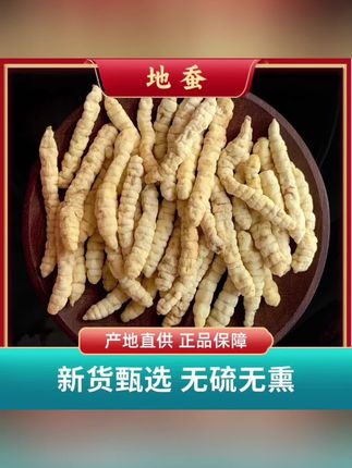 云南虫草参正品草石蚕地蚕土冬虫草白虫草生地黄泽兰根地参#虫草参#地蚕#养生茶