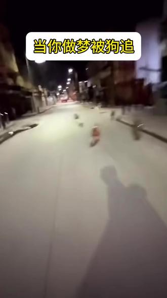 做梦被狗追的后遗症 #做梦 #内容过于真实 #精神状态belike #搞笑 #被狗追