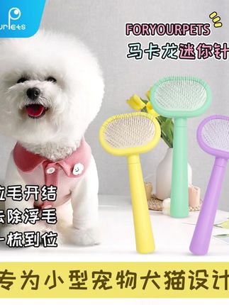 宠物迷你拉毛针梳马卡龙色美容蓬毛梳狗梳子去浮毛开结宠物小梳子#狗梳子去浮毛开结宠物小梳子 #宠物梳毛器#好物 #宠物 #萌宠