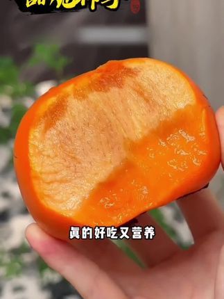 巧克力脆柿!直接吃就是脆甜,放软就是爆汁纯甜,巨好吃,吃再多都不涩口不麻嘴一定要试试#口感特别好 #新鲜应季水果 #巧克力脆柿子 #脆柿子