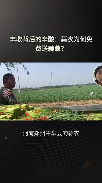 河南蒜薹免费送背后,藏着农民“越抽越亏也得抽”的死局 抽一斤亏3毛,不抽亏3成收成……这场免费送不是善良,是算术题。😯
看完你可能对“丰收”有了全新的看法。
#涨知识 #蒜苔免费采摘