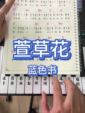 #萱草花 #电子琴 #教学简谱 #电子琴教学