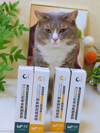 掉毛季到了,猫咪就容易给毛发舔到肚子里,赶紧给它喂点化毛膏吧!#猫咪#化毛膏#科学养猫攻略#新手养猫#萌宠好物
