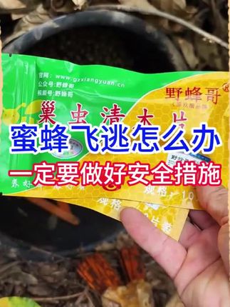 蜜蜂飞逃怎么办,一定要做好安全措施#蜜蜂养殖#养殖场 #三农#巢虫#养殖