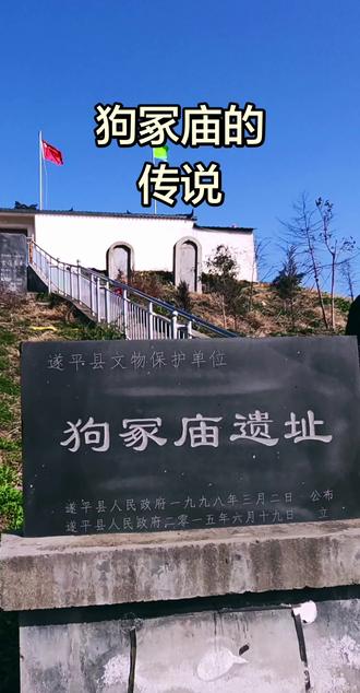 狗冢庙的传说 西汉末年,王莽篡权后调集军队镇压各地义军。刘秀携母率兵在舞阳与王莽军相遇,因寡不敌众被冲散,他只身逃到遂平县和兴镇李屯村西北附近,筋疲力尽倒在草丛中熟睡。王莽军追到此处,见芦苇荡无法搜寻,便放火欲烧死刘秀。刘秀醒来时,四周焦土,只有身边湿淋淋的白狗和沾满泥水的荒草,他明白是白狗跑到东边小河沾水,再到他周围草丛翻滚,打湿草丛才救了他,而白狗最终劳累而死,后来刘秀当了皇帝,想起诺言,命人厚葬白狗并建庙祭祀,取名狗冢庙。该庙初建于东汉初年,距今约2000年,是我国唯一一座祭狗的庙宇。其传说在驻马店、漯河、南阳、平顶山、周口五市民间广为流传,2007年10月,狗冢庙传说被河南省人民政府批准为省级非物质文化遗产。
但是现在庙里的布局已经完全违背了刘秀的旨意,新塑了一众毫无灵气的各种神像抢占了神位,把救主白狗神像挤到了角落里,狗冢也没有复原立碑,更没有白狗救主故事的相关记载和实物展示,完全背离了“狗冢庙”的初衷和纪念意义。
#寻找历史的痕迹 #狗冢庙 #民间故事传说