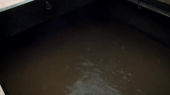 城市生活污水去了哪儿? 污水处理厂流程 #污水处理 #废水处理 #三维动画 #环保 #科普一下