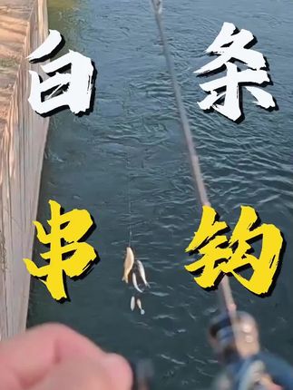 #路亚白条