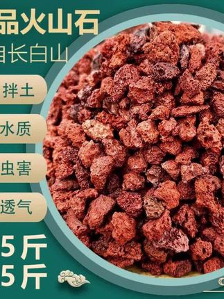 火山石颗粒 鱼缸垫底造景过滤水质.花盆铺面.首选火山石#天然火山石 #火山石 #鱼缸造景 #生态缸 #水族用品