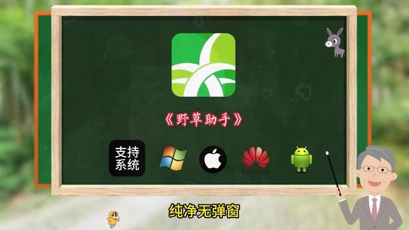 《白纸资源》#免费分享 #资源 #野草助手分享码 #分享