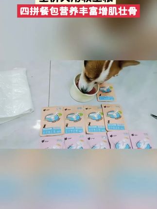 条条有爱牌,全价犬用主食湿粮,适合幼犬和老年犬 #易博米修的日常#狗粮推荐#狗狗湿粮#平价狗粮推荐 #新手养狗