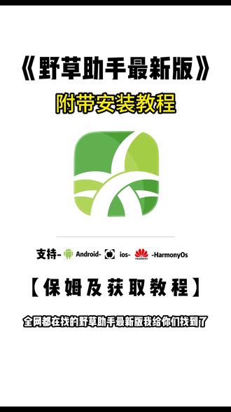 《甜白开分享》野草助手最新版教程来了#电视 #野草助手 #口令码 #野草助手怎么下载