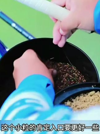 滑鱼豆秒粘豆软体黑坑鲤鱼滑口回锅鱼粘麻团颗粒无皮筋饵料#鱼饵 #鱼豆 #饵料 #钓鱼 #钓鱼的乐趣只有钓鱼人懂
