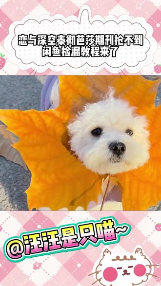 恋与深空秦彻芭莎期刊抢不到?闲鱼捡漏教程来了 #闲鱼 #321上闲鱼开拍 #神奇的闲鱼 #数码好物