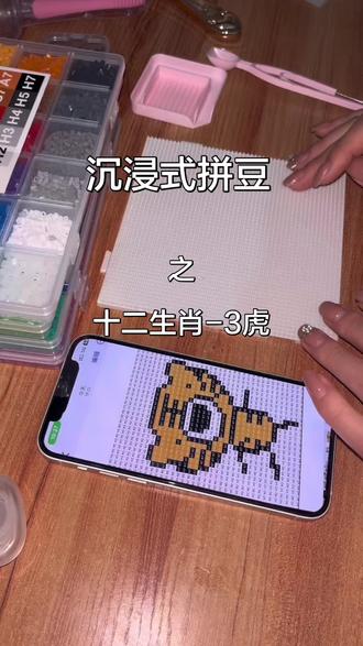 沉浸式拼12生肖#沉浸式 #十二生肖