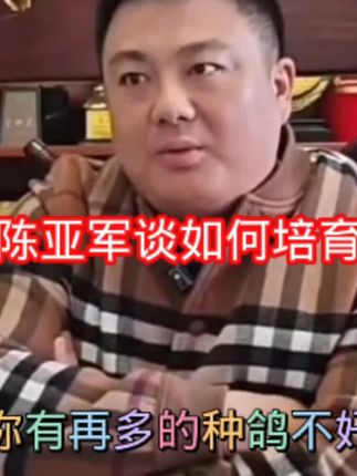 #鸽子#赛鸽#鸽行#鸽子养殖技术