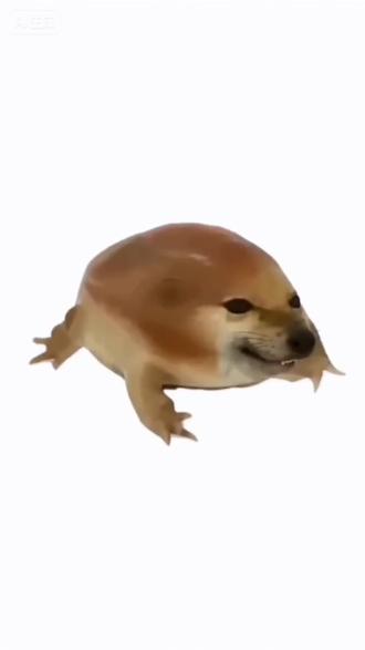 我的刀盾之歌#我的刀盾 #刀盾 #魔改歌曲