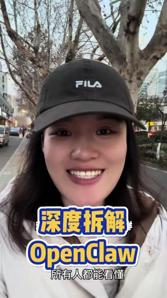 深度拆解OpenClaw核心组成,普通人也能看懂
#openclaw #AI #人工智能