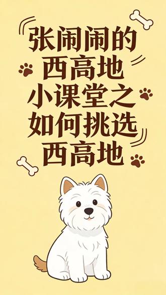 #新手养宠 #西高地#宠物知识 #狗狗 #宠物vlog #养狗经验分享 快看!西高地!