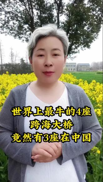 最牛的跨海大桥在中国