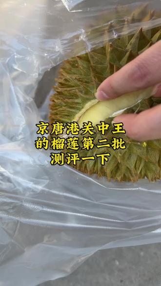 港口榴莲哪家强,唯独只有关中王#京唐港 #乐亭 #网购榴莲测评