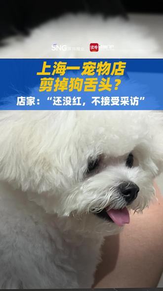 上海一宠物店剪掉狗舌头? 店家:“还没红,不接受采访”