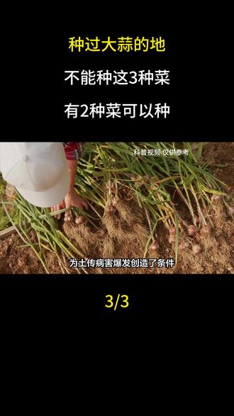 种过大蒜的地,不能种这3种菜,有2种菜可以种