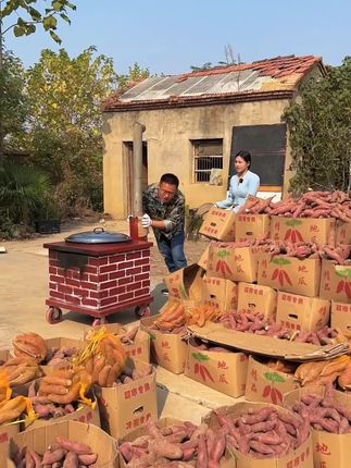 西瓜红蜜薯,都是产地现挖现发,无筋无丝,软糯香甜真的超好吃#红薯 #软糯香甜 #优质农产品 #老人小孩都爱吃 #西瓜红蜜薯