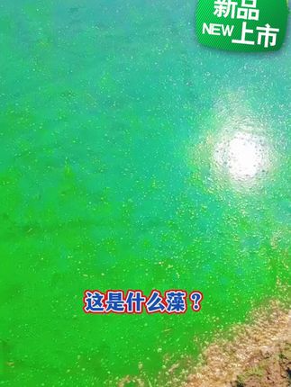 #水产养殖 #螃蟹 #养鱼人 #鱼虾蟹养殖 #水产养殖技术