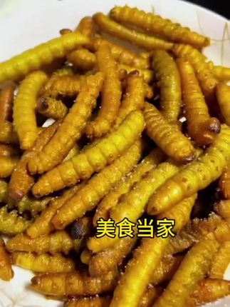 山东特产新鲜豆虫 野生食用豆虫豆丹 冷冻发货油炸烧烤食材 #山东特产 #新鲜豆虫 #食用豆丹 #冷冻发货 #烧烤油炸串串 @美食当家